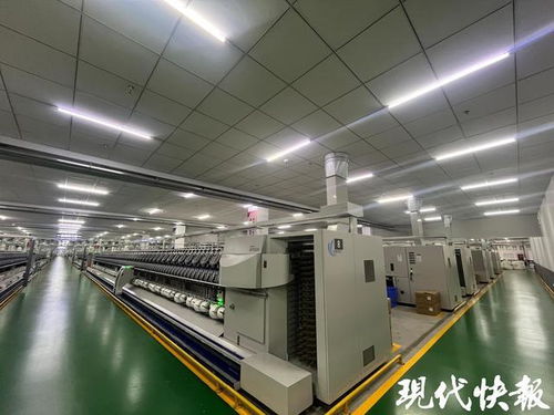 探秘黄海之滨的零碳城 时代链上的绿色奇迹